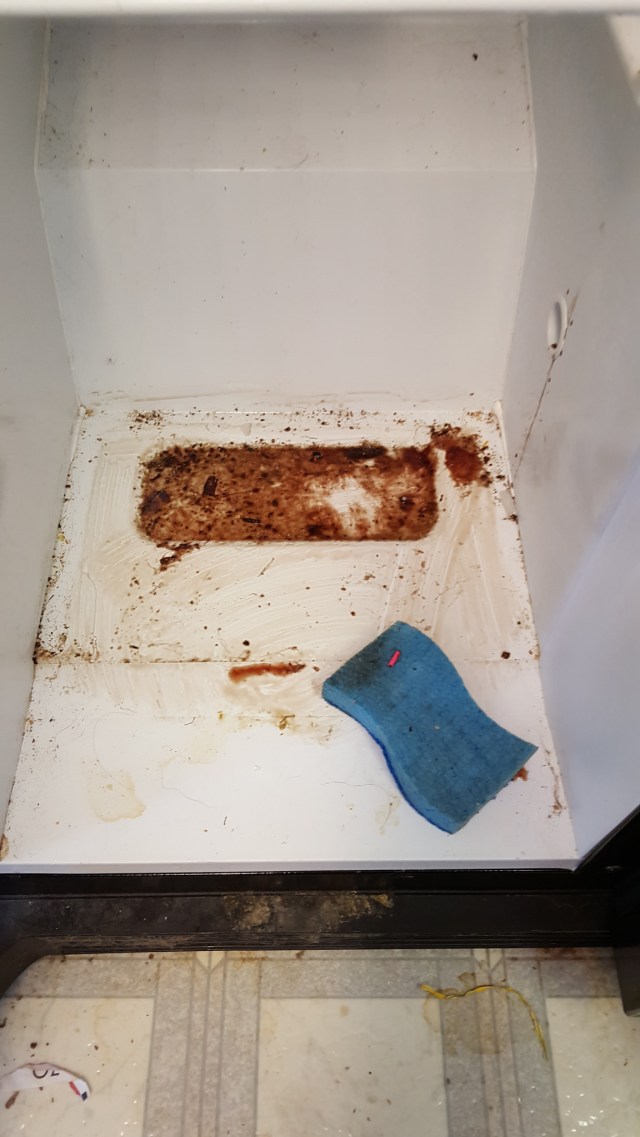 23567965243_fcbd8becc4_k