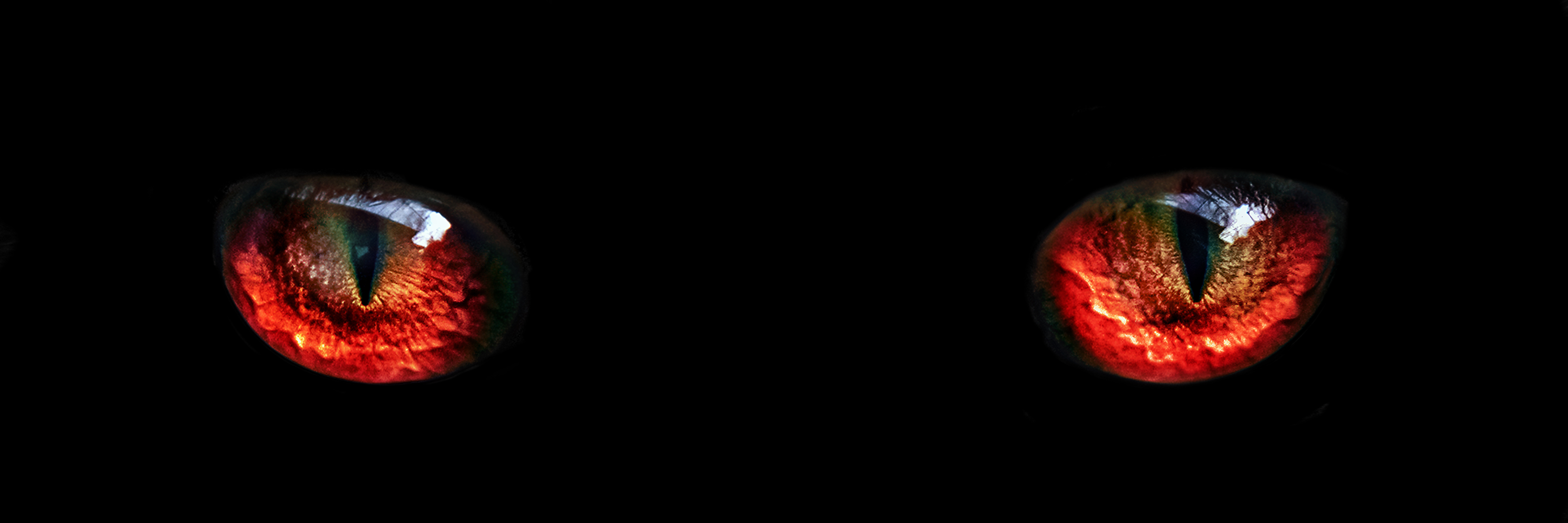 red monster night eyes closeup