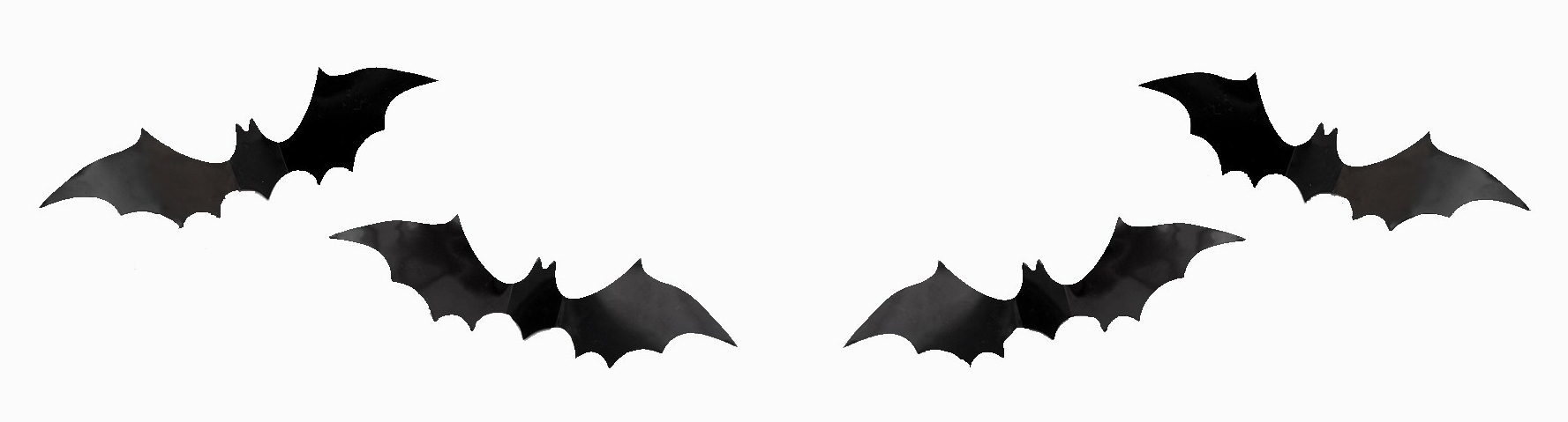 Bats