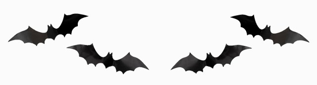 Bats