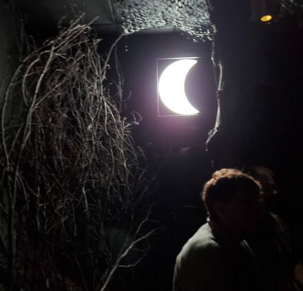 Phone Download 8-28-19 815 - Copy